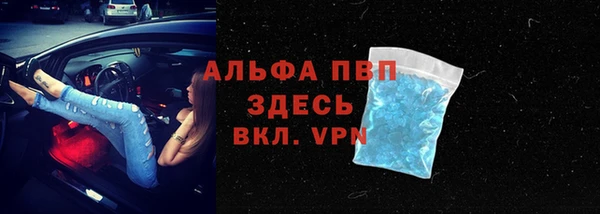 амф Козловка