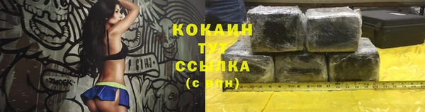 амф Козловка