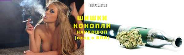 mdpv Кодинск