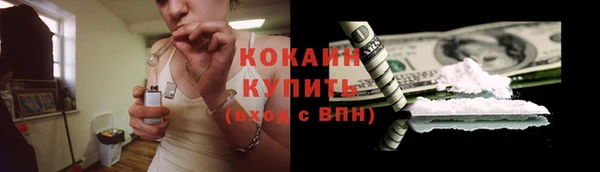амф Козловка