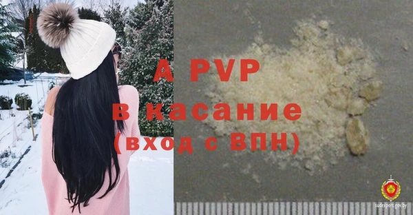 амф Козловка