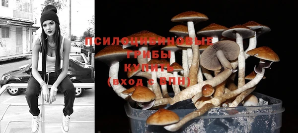 mdpv Кодинск